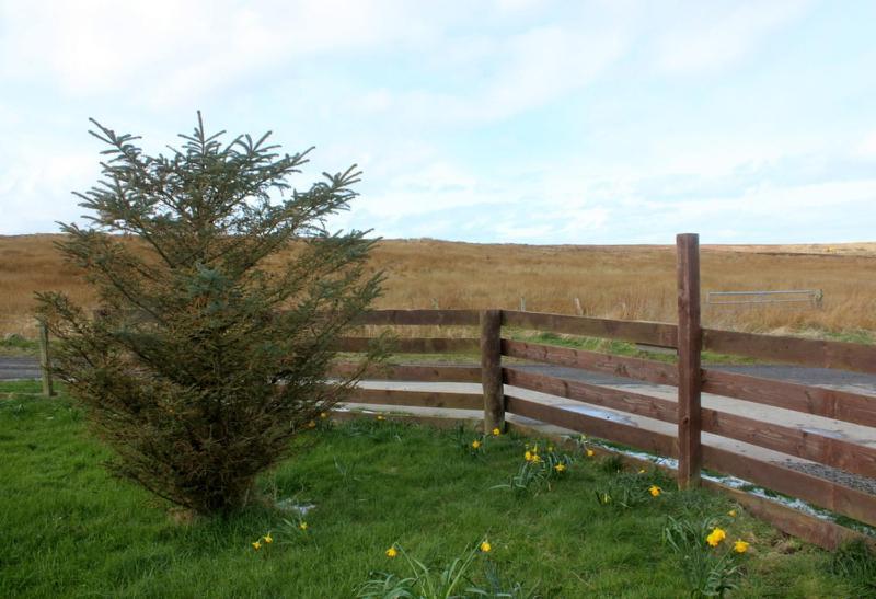 Hillside Camping Pods And Shepherd'S Hut Wick  Exteriér fotografie